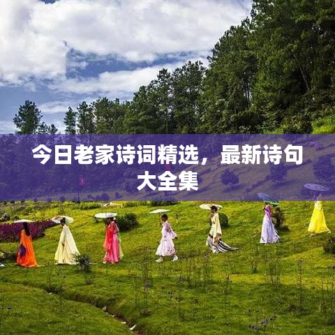 今日老家詩詞精選，最新詩句大全集