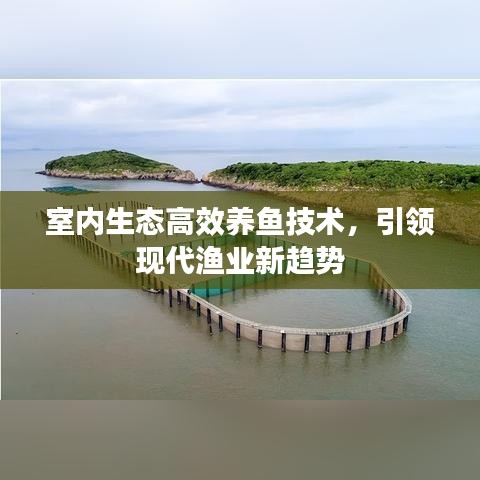 室內(nèi)生態(tài)高效養(yǎng)魚技術(shù)，引領現(xiàn)代漁業(yè)新趨勢