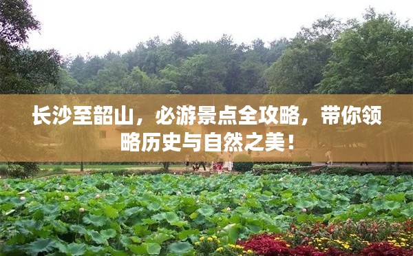 長沙至韶山，必游景點(diǎn)全攻略，帶你領(lǐng)略歷史與自然之美！