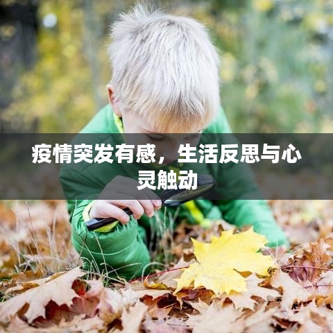疫情突發(fā)有感，生活反思與心靈觸動