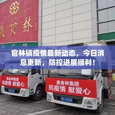 官林鎮(zhèn)疫情最新動態(tài)，今日消息更新，防控進展順利！