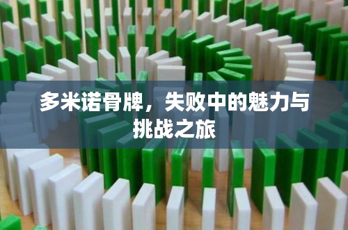 多米諾骨牌，失敗中的魅力與挑戰(zhàn)之旅