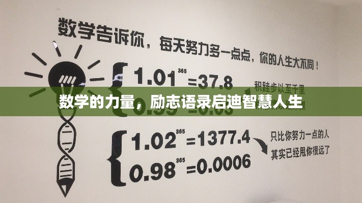 數(shù)學(xué)的力量，勵(lì)志語(yǔ)錄啟迪智慧人生