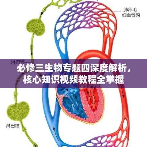 必修三生物專題四深度解析，核心知識視頻教程全掌握