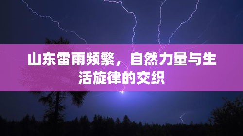 芒屩布衣 第2頁