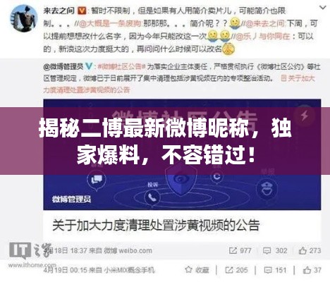 揭秘二博最新微博昵稱，獨家爆料，不容錯過！