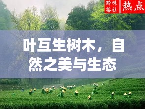 葉互生樹木，自然之美與生態(tài)和諧的獨特象征