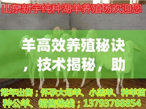 獨(dú)學(xué)寡聞 第2頁(yè)
