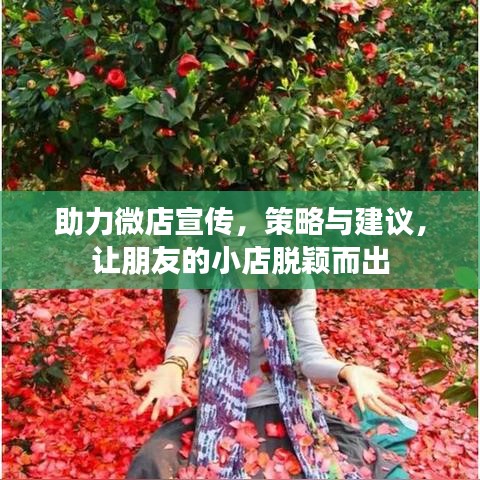助力微店宣傳，策略與建議，讓朋友的小店脫穎而出