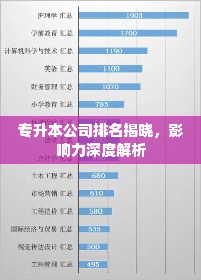 專升本公司排名揭曉，影響力深度解析