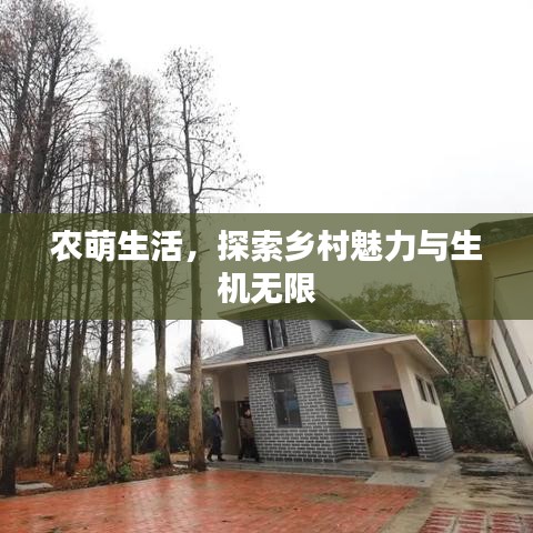 農(nóng)萌生活，探索鄉(xiāng)村魅力與生機(jī)無(wú)限