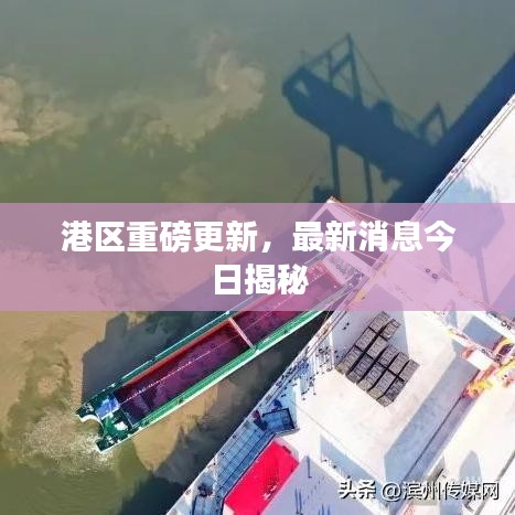 港區(qū)重磅更新，最新消息今日揭秘