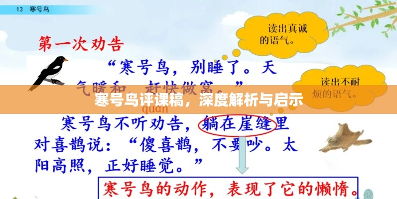 寒號(hào)鳥評(píng)課稿，深度解析與啟示