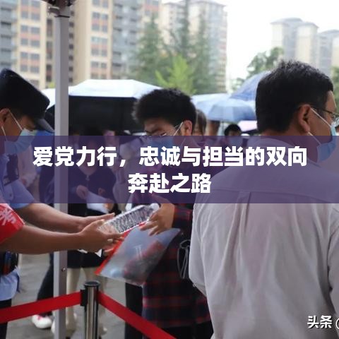 愛黨力行，忠誠與擔(dān)當(dāng)?shù)碾p向奔赴之路