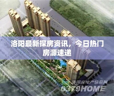 洛陽最新探房資訊，今日熱門房源速遞
