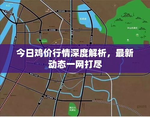 今日雞價(jià)行情深度解析，最新動(dòng)態(tài)一網(wǎng)打盡