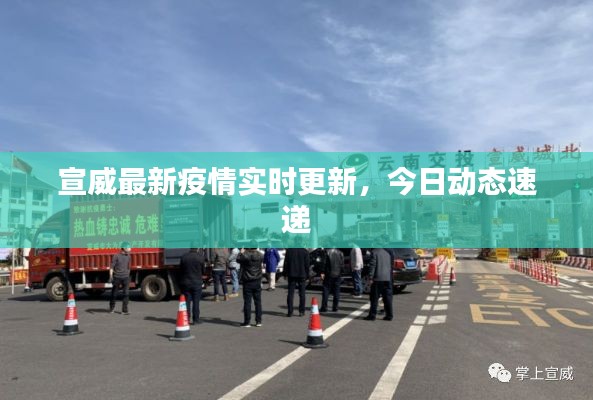 宣威最新疫情實(shí)時(shí)更新，今日動(dòng)態(tài)速遞