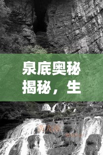 泉底奧秘揭秘，生命之泉涌動(dòng)不息