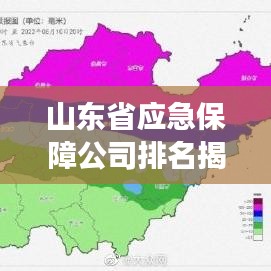 山東省應(yīng)急保障公司排名揭秘，行業(yè)深度分析與洞察