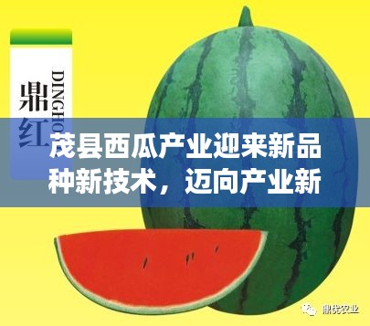 茂縣西瓜產(chǎn)業(yè)迎來新品種新技術(shù)，邁向產(chǎn)業(yè)新高度！