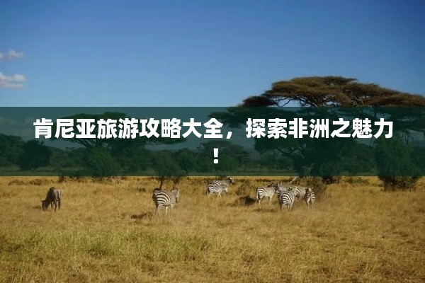 肯尼亞旅游攻略大全，探索非洲之魅力！