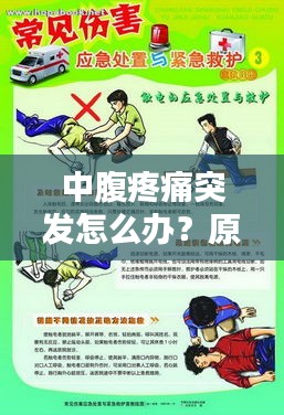 中腹疼痛突發(fā)怎么辦？原因解析、應(yīng)急處理與預(yù)防措施一網(wǎng)打盡！