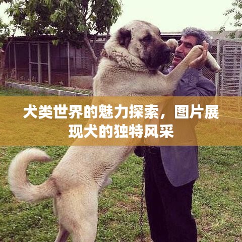 克勤克儉 第2頁