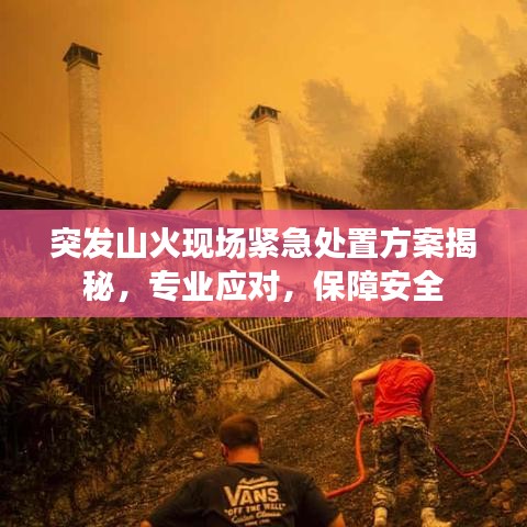 突發(fā)山火現(xiàn)場緊急處置方案揭秘，專業(yè)應(yīng)對，保障安全