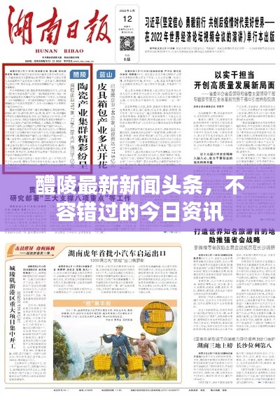 醴陵最新新聞頭條，不容錯過的今日資訊