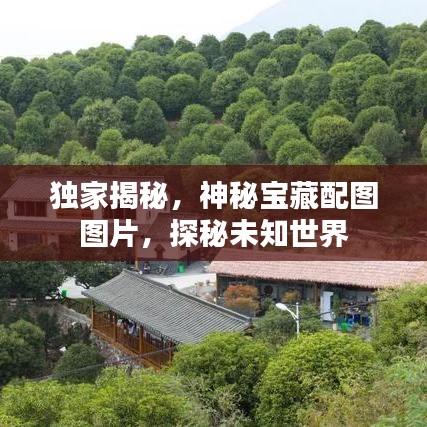 獨(dú)家揭秘，神秘寶藏配圖圖片，探秘未知世界