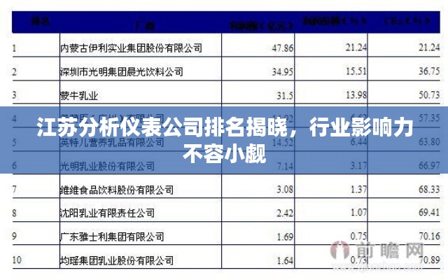 江蘇分析儀表公司排名揭曉，行業(yè)影響力不容小覷