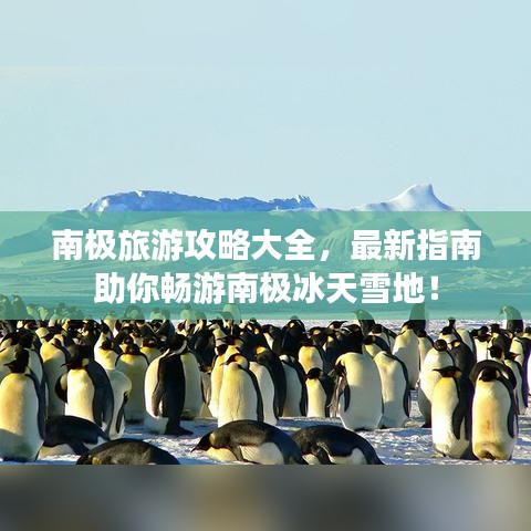南極旅游攻略大全，最新指南助你暢游南極冰天雪地！