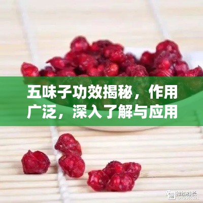 五味子功效揭秘，作用廣泛，深入了解與應(yīng)用指南