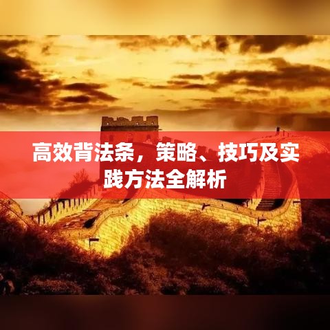 高效背法條，策略、技巧及實踐方法全解析