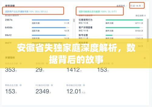 安徽省失獨(dú)家庭深度解析，數(shù)據(jù)背后的故事