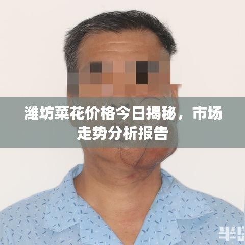 濰坊菜花價(jià)格今日揭秘，市場(chǎng)走勢(shì)分析報(bào)告