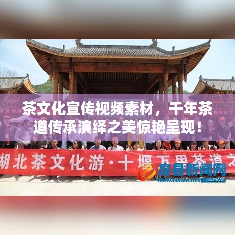 茶文化宣傳視頻素材，千年茶道傳承演繹之美驚艷呈現(xiàn)！