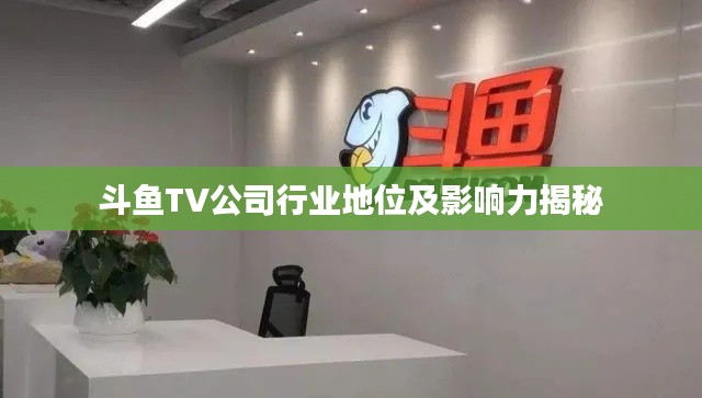 斗魚TV公司行業(yè)地位及影響力揭秘