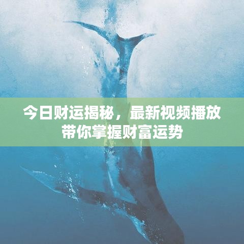 今日財運揭秘，最新視頻播放帶你掌握財富運勢
