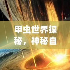 甲蟲世界探秘，神秘自然寶藏的旅游攻略