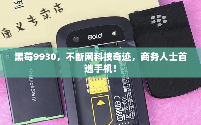 黑莓9930，不斷網(wǎng)科技奇跡，商務人士首選手機！