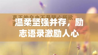 溫柔堅強并存，勵志語錄激勵人心