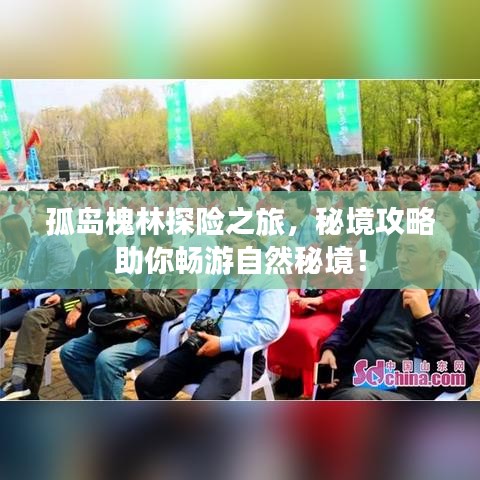 孤島槐林探險(xiǎn)之旅，秘境攻略助你暢游自然秘境！