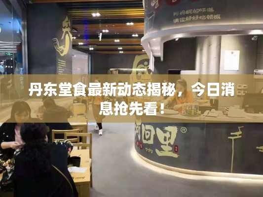 丹東堂食最新動態(tài)揭秘，今日消息搶先看！