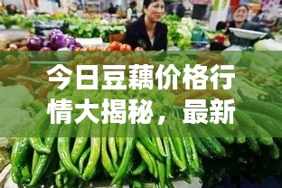 今日豆藕價格行情大揭秘，最新報價一網(wǎng)打盡！