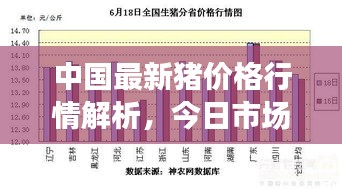中國最新豬價格行情解析，今日市場走勢分析