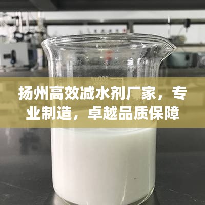 揚州高效減水劑廠家，專業(yè)制造，卓越品質(zhì)保障