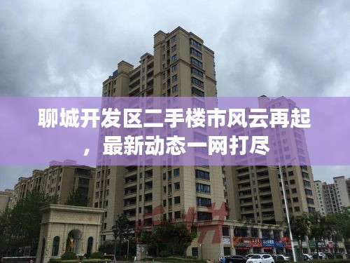 聊城開發(fā)區(qū)二手樓市風(fēng)云再起，最新動態(tài)一網(wǎng)打盡