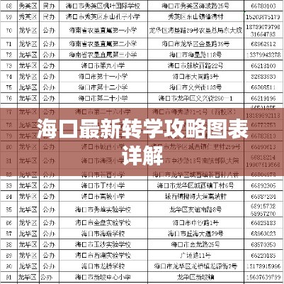 ?？谧钚罗D(zhuǎn)學(xué)攻略圖表詳解