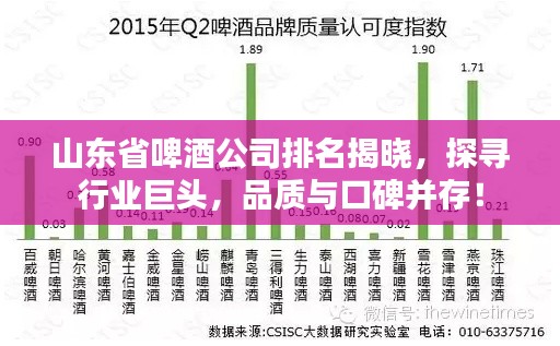 山東省啤酒公司排名揭曉，探尋行業(yè)巨頭，品質(zhì)與口碑并存！